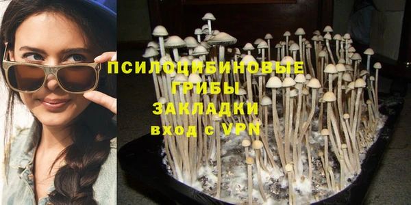 трава Абдулино