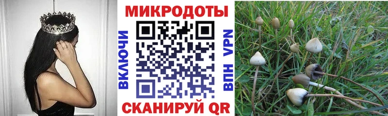 что такое наркотик Воронеж Псилоцибиновые грибы Psilocybe